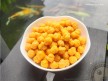 Australian Corn Pilus